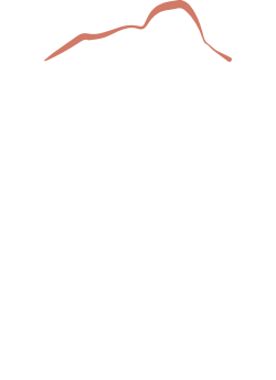 料理