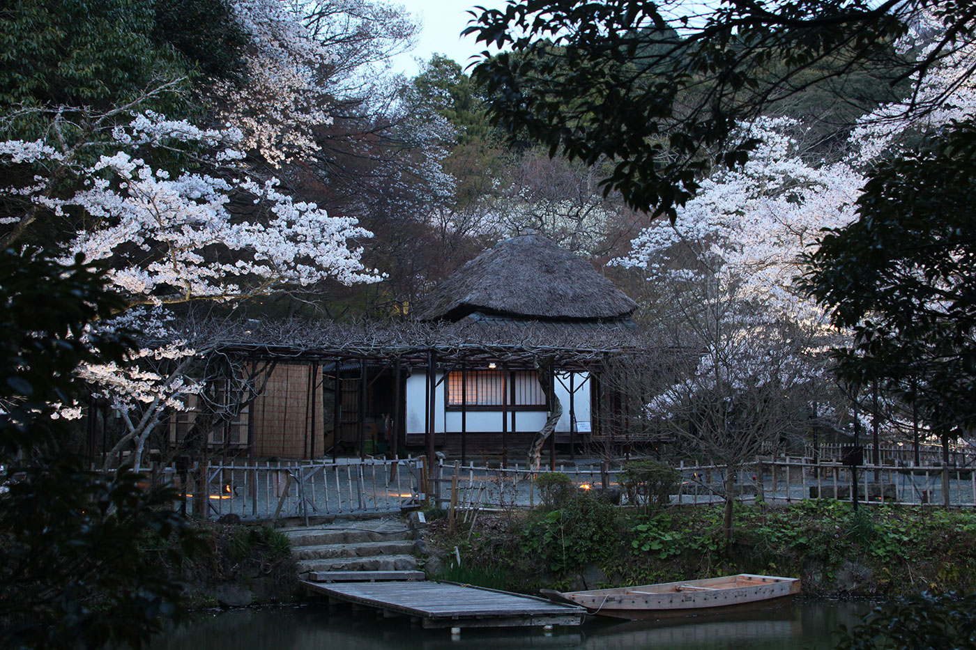 春の萩野尾御茶屋