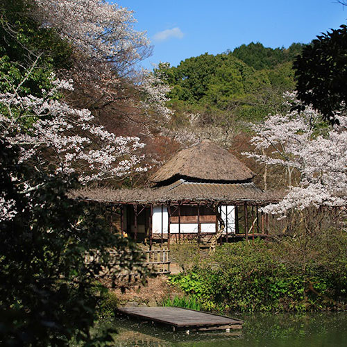 萩野尾御茶屋