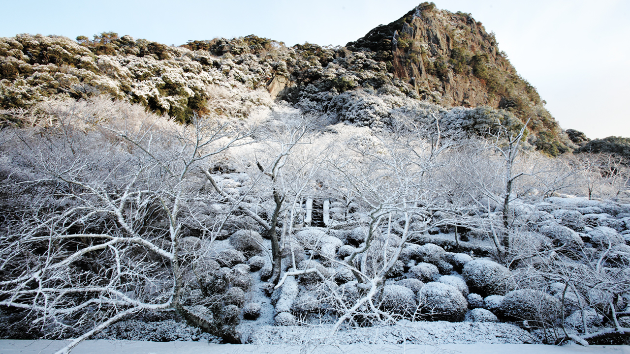 雪景色