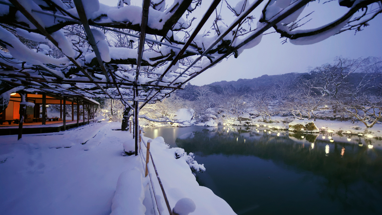 雪に覆われた藤棚