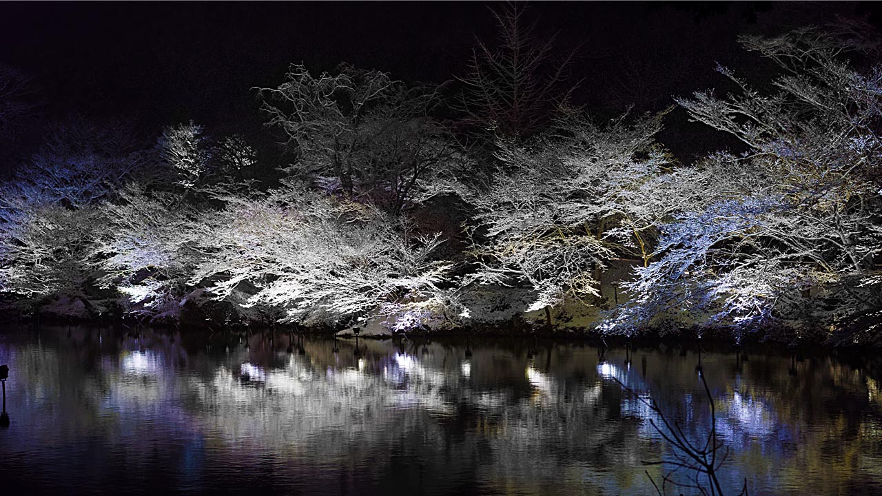 雪景色のライトアップ