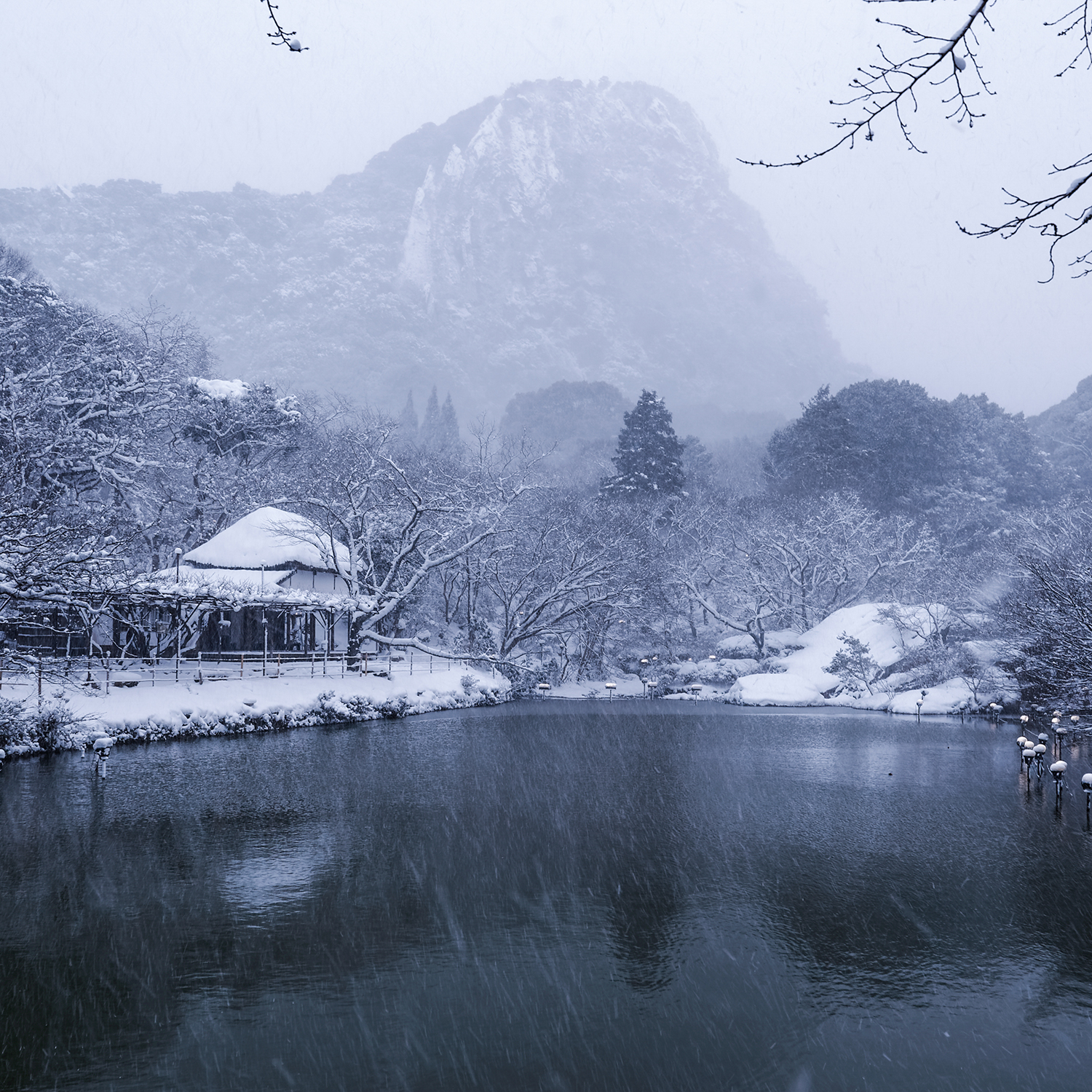 冬枯れとたまに雪景色